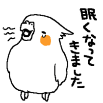 MARU the Cockatiel sticker #4072745