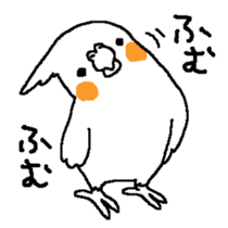 MARU the Cockatiel sticker #4072754