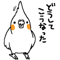 MARU the Cockatiel sticker #4072755