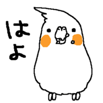 MARU the Cockatiel sticker #4072756