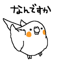 MARU the Cockatiel sticker #4072757