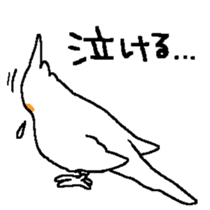 MARU the Cockatiel sticker #4072759