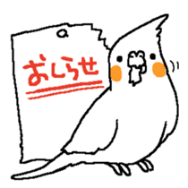 MARU the Cockatiel sticker #4072760