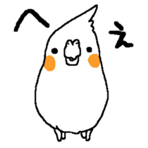 MARU the Cockatiel sticker #4072761