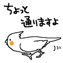 MARU the Cockatiel sticker #4072762