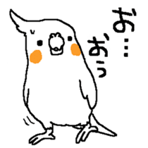 MARU the Cockatiel sticker #4072764