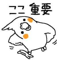 MARU the Cockatiel sticker #4072765