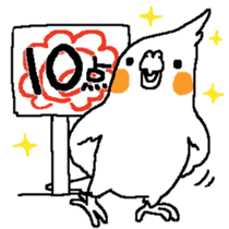 MARU the Cockatiel sticker #4072766