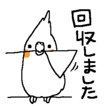 MARU the Cockatiel sticker #4072769