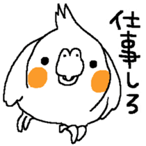 MARU the Cockatiel sticker #4072775