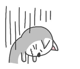 Everyone cats do you like? sticker #4074645