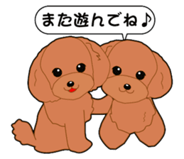 Poodle daily sticker #4075421