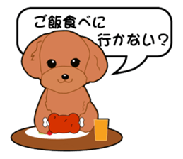 Poodle daily sticker #4075424