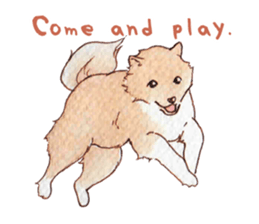 Softly Koro chan sticker #4075537