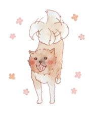 Softly Koro chan sticker #4075538