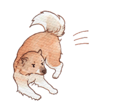 Softly Koro chan sticker #4075540