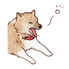Softly Koro chan sticker #4075544
