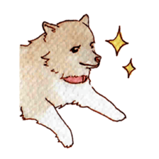 Softly Koro chan sticker #4075545
