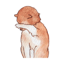 Softly Koro chan sticker #4075546