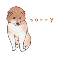 Softly Koro chan sticker #4075547