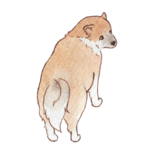 Softly Koro chan sticker #4075548