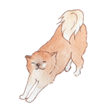 Softly Koro chan sticker #4075558