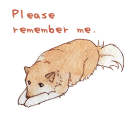 Softly Koro chan sticker #4075566