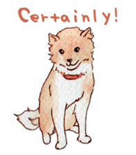 Softly Koro chan sticker #4075567