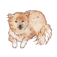 Softly Koro chan sticker #4075568