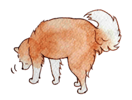 Softly Koro chan sticker #4075570