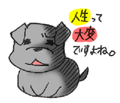 DOG! COME ON! sticker #4076220