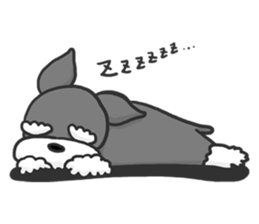 Standing Ears Schnauzer sticker #4078713