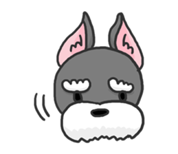 Standing Ears Schnauzer sticker #4078724