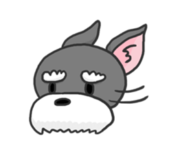 Standing Ears Schnauzer sticker #4078725