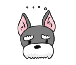 Standing Ears Schnauzer sticker #4078732