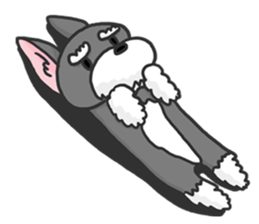 Standing Ears Schnauzer sticker #4078735