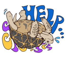 Funny Pets sticker #4079705