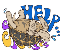 Funny Pets sticker #4079705