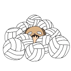 HAKATA DOG and volleyball
