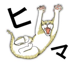 This is my cat 1 sticker #4083328