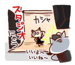 the pad of cat @ women sticker #4085566