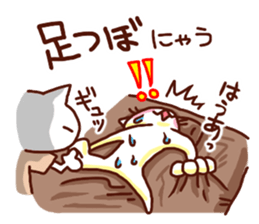 the pad of cat @ women sticker #4085585