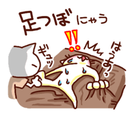 the pad of cat @ women sticker #4085585