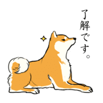 Shiba Inu of cute sticker sticker #4086443