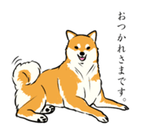 Shiba Inu of cute sticker sticker #4086468