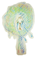 Daily Alpaca sticker #4087455