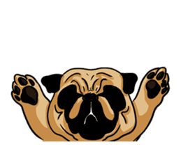 Shy of pug sticker #4087892