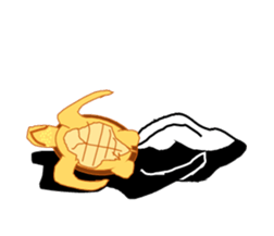 It's a whale! sticker #4088836