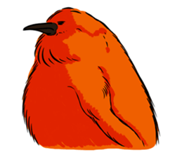 Red Penguin baby sticker #4090200