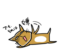 cat which lives properly sticker #4093584